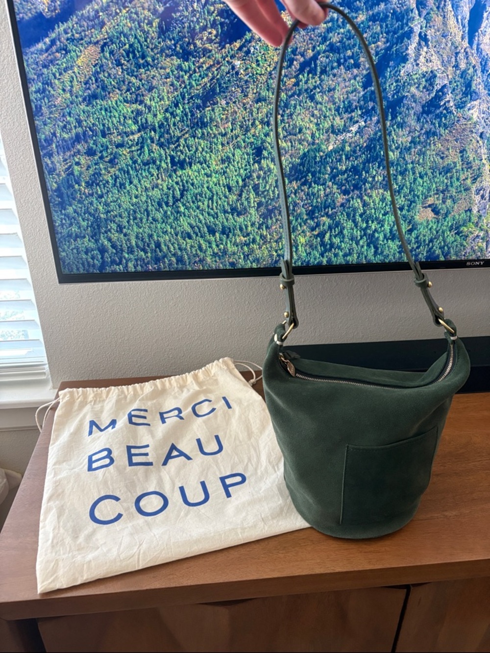 Clare V Petite Jeanne Bucket Bag in Green Suede NWOT
